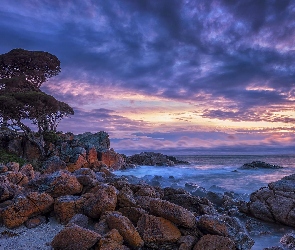 Skały, Morze, Shelley Cove, Wybrzeże, Australia, Niebo, Drzewa, Chmury, Kamienie