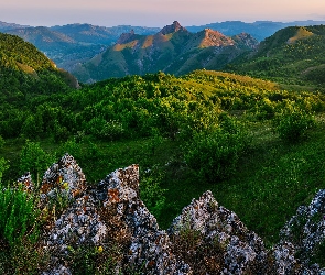 Zelenogorje, Roślinność, Skały, Góry Krymskie, Krym