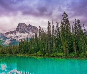 Kanada, Canadian Rockies, Emerald Lake, Las, Góry, Jezioro, Chmury, Park Narodowy Yoho, Kolumbia Brytyjska, Drzewa