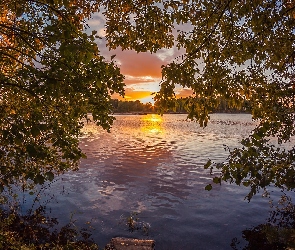 Drzewa, Zachód słońca, Liście, Gałęzie, Jezioro