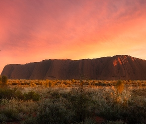 Skała, Wschód słońca, Australia, Trawa, Uluru, Ayers Rock, Park Narodowy Uluru Kata Tjuta, Góra