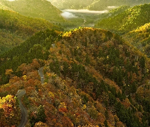 Jesień, Droga, Las, Góry, Drzewa, Mgła