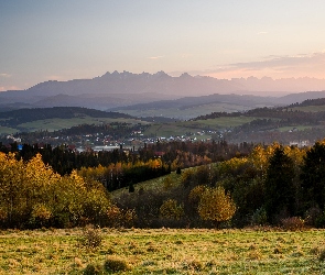 Województwo małopolskie, Czorsztyn, Drzewa, Polska, Kotlina Orawsko-Nowotarska, Góry, Domy