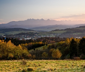 Drzewa, Góry, Polska, Kotlina Orawsko-Nowotarska, Czorsztyn, Województwo małopolskie, Domy