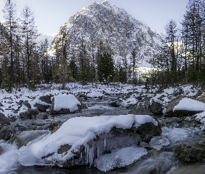 Śnieg, Kamienie, Ośnieżone, Drzewa, Rzeka, Zima, Góry