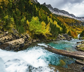 Arazas River, Góry, Rzeka, Drzewa, Jesień, Kamienie, Hiszpania, Pireneje