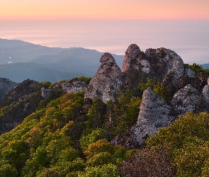 Drzewa, Roślinność, Góry, Skały