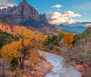 Stany Zjednoczone, Drzewa, Virgin River, Jesień, Kamienie, Rzeka, Stan Utah, Park Narodowy Zion, Góry Watchman