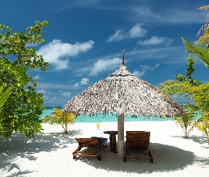Parasol, Leżaki, Morze, Niebo, Palmy, Plaża, Drzewa