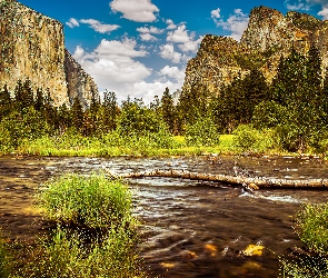 Merced River, Kalifornia, Trawa, Drzewa, Kamienie, Rzeka, Stany Zjednoczone, Park Narodowy Yosemite, Krzaki, Góry, Chmury, Sierra Nevada, Szuwary