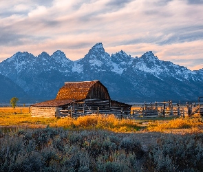 Góry Teton Range, Drewniana, Stodoła, Stany Zjednoczone, Park Narodowy Grand Teton, Drzewa, Stan Wyoming, Chata