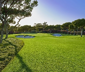 Pole golfowe, Drzewa, Portugalia, Quinta do Lago, Almancil, Hotel