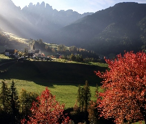 Drzewa, Dolomity, Góry, Dolina Val di Funes, Włochy, Santa Maddalena, Kościół, Masyw Odle, Lasy, Wieś