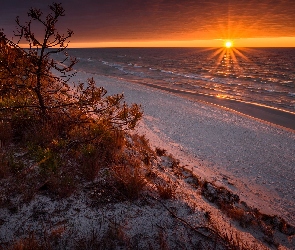 Morze Bałtyckie, Polska, Rośliny, Zachód słońca, Plaża