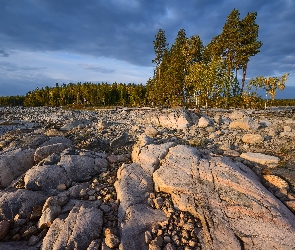 Rosja, Karelia, Kamienie, Jezioro Siegoziero, Skały, Drzewa
