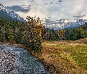 Kanada, Park Narodowy Banff, Canadian Rockies, Alberta, Drzewa, Spray River, Las, Łąka, Rzeka, Góry