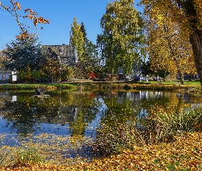 Drzewa, Jesień, Domy, Trawa, Staw
