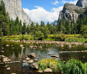 Stany Zjednoczone, Sierra Nevada, Kamienie, Rzeka, Góry, Drzewa, Park Narodowy Yosemite, Trawa, Stan Kalifornia, Merced River
