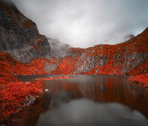 Jezioro, Roślinność, Czerwona, Skały, Góry