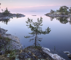 Jezioro, Ładoga, Drzewa, Skały, Rośliny, Rosja