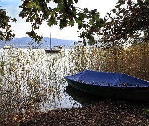 Simssee, Zakryte, Jezioro, Brzeg, Bawaria, Trzcina, Niemcy, Łódki