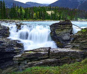 Prowincja Alberta, Drzewa, Wodospad Athabasca, Kanada, Skały, Park Narodowy Jasper, Rzeka Athabasca