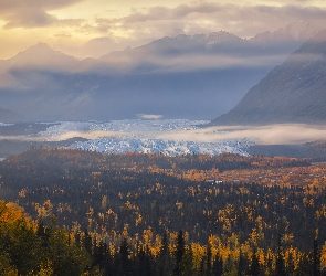 Alaska, Drzewa, Góry, Stany Zjednoczone, Jesienne, Lodowiec Matanuska, Lasy