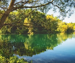 Jezioro, Dzień, Słoneczny, Drzewa