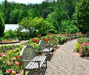 Kwitnące, Ławki, Ścieżki, Róże, Park