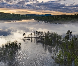 Finlandia, Laponia, Lasy, Jezioro Inari, Drzewa, Mgła