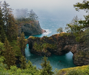 Stany Zjednoczone, Brookings, Natural Bridges Viewpoint, Oregon, Drzewa, Mosty skalne, Mgła, Morze, Skały, Punkt widokowy