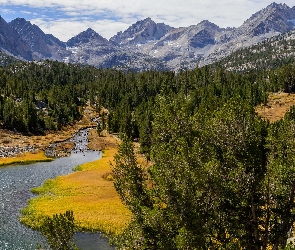 Rzeka, Drzewa, Sierra Nevada, Góry, Stany Zjednoczone, Eastern Sierra, Lasy, Stan Kalifornia, Rock Creek