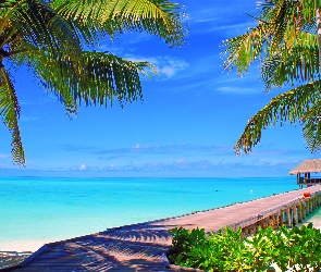 Wyspa Nalaguraidhoo, Pomost, Morze, Malediwy, Wyspa, Niebo, Palmy