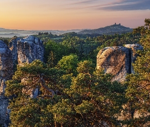Formacje skalne, Góry Stołowe, Skalne Miasto, Czechy, Czeski Raj, Sosny, Hruboskalsko, Skały, Drzewa