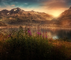 Jezioro, Kwiaty, Zachód słońca, Góry