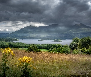 Rośliny, Chmury, Ciemne, Drzewa, Góry, Hrabstwo Kerry, Jezioro, Lough Leane, Irlandia, Park Narodowy Killarney