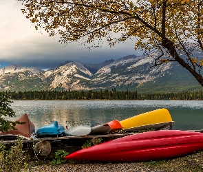 Jezioro, Alberta, Góry, Kanada, Park Narodowy Jasper, Drzewa, Edith Lake, Kolorowe, Kajaki