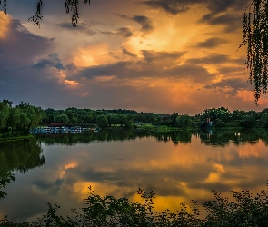 Liście, Drzewa, Jezioro, Zachód słońca