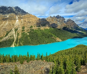 Kanada, Jezioro, Las, Peyto Lake, Park Narodowy Banff, Góry, Chmury, Drzewa, Prowincja Alberta, Skały