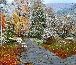 Alejki, Ławki, Jesień, Park, Śnieg, Drzewa