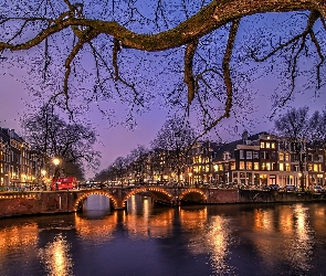 Amsterdam, Drzewa, Holandia, Most, Noc, Kanał, Światła, Domy