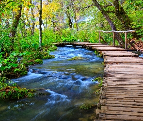 Park Narodowy Jezior Plitwickich, Rzeka, Pomost, Las, Chorwacja