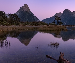 Nowa Zelandia, Fiord Milford, Odbicie, Góry, Zatoka Milforda, Góra Mitre Peak, Park Narodowy Fiordland, Konar, Wyspa Południowa, Alpy Południowe