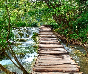 Pomost, Chorwacja, Park Narodowy Jezior Plitwickich, Rzeka, Drzewa