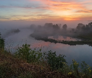 Drzewa, Poranek, Wschód słońca, Mgła, Rzeka