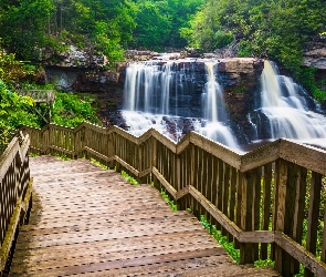 Wirginia Zachodnia, Stany Zjednoczone, Schody, Wodospad Blackwater Falls, Las, Drzewa, Park stanowy Blackwater Falls