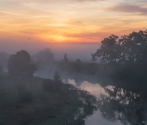 Rzeka, Wschód słońca, Mgła, Poranek, Drzewa