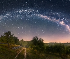 Włochy, Toskania, Drzewa, Wzgórza, Droga Mleczna, Castellina in Chianti
