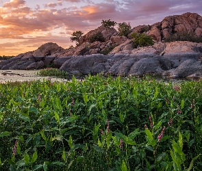 Jezioro, Arizona, Zachód słońca, Stany Zjednoczone, Prescott, Drzewa, Willow Lake, Skały, Roślinność