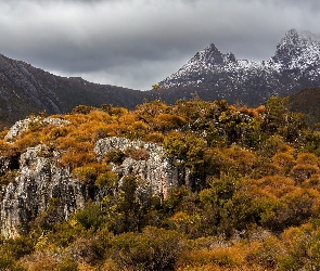 Skały, Cradle Mountain, Góry, Australia, Jesień, Drzewa, Tasmania, Park Narodowy Cradle Mountain Lake St Clair